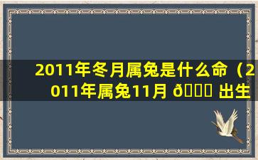 2011年冬月属兔是什么命（2011年属兔11月 🐛 出生 🌷 好的好吗）